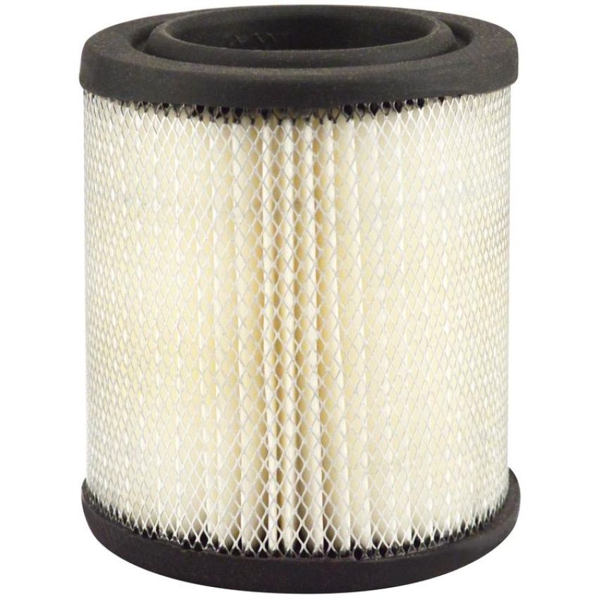 BALDWIN FILTERS PA1859 Air Element