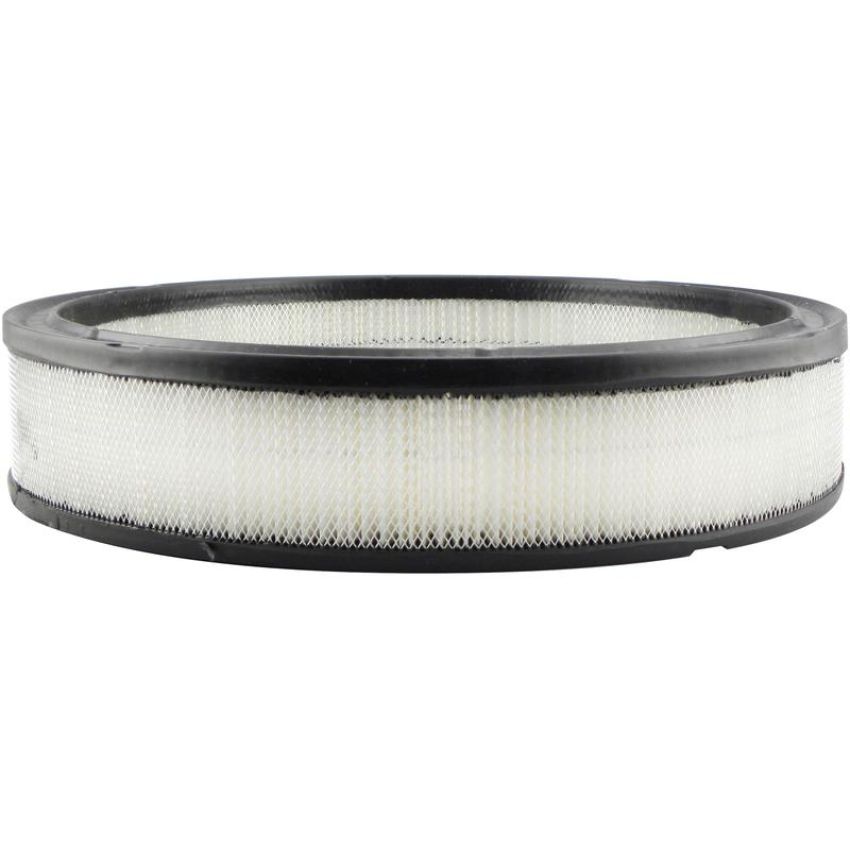 BALDWIN FILTERS PA2009 Air Element