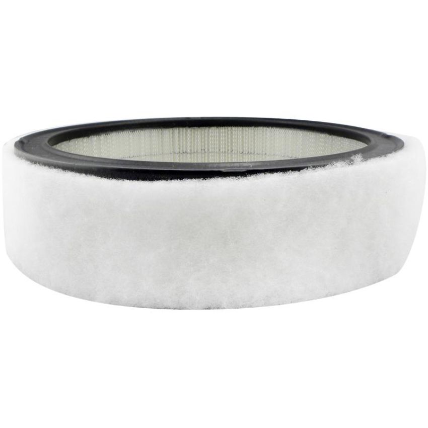 BALDWIN FILTERS PA2073 Air Element with Foam Wrap