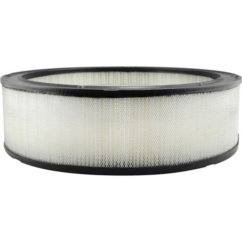BALDWIN FILTERS PA2079 Air Element