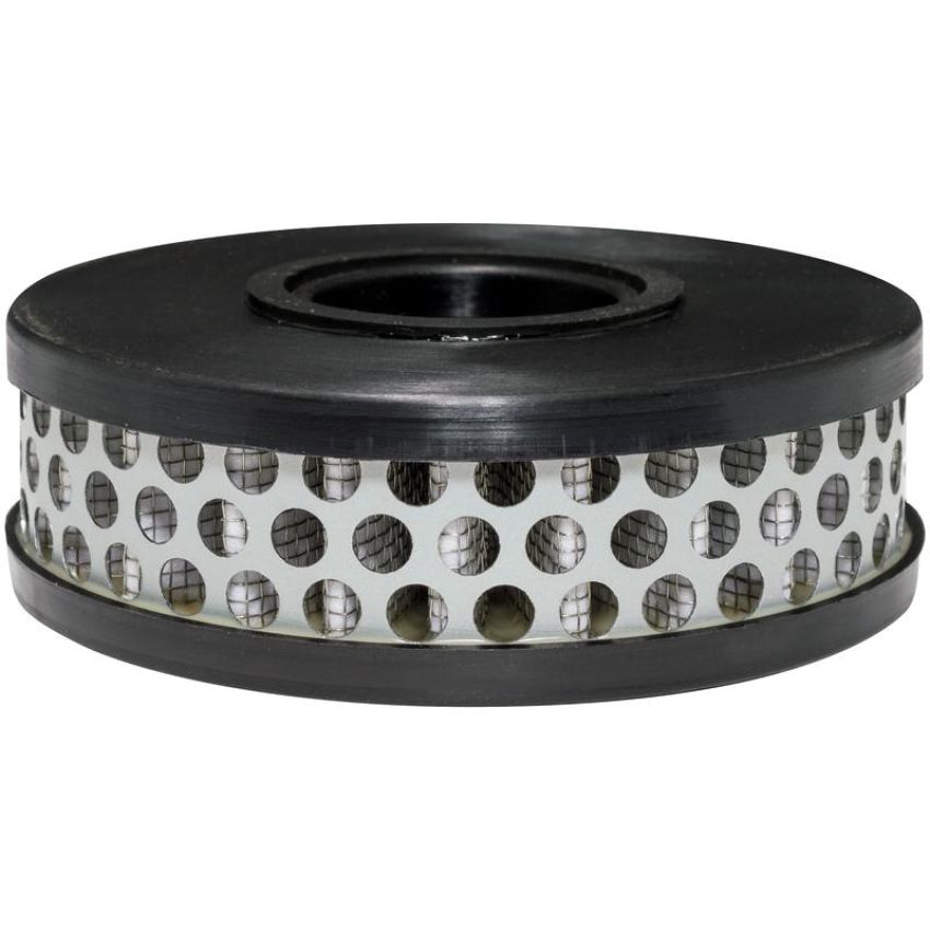 BALDWIN FILTERS PA2256 Air Breather Element