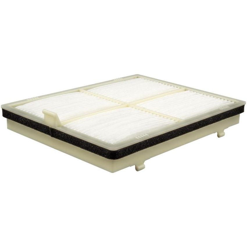 BALDWIN FILTERS PA30141 Cab Air Element with Pull Tab