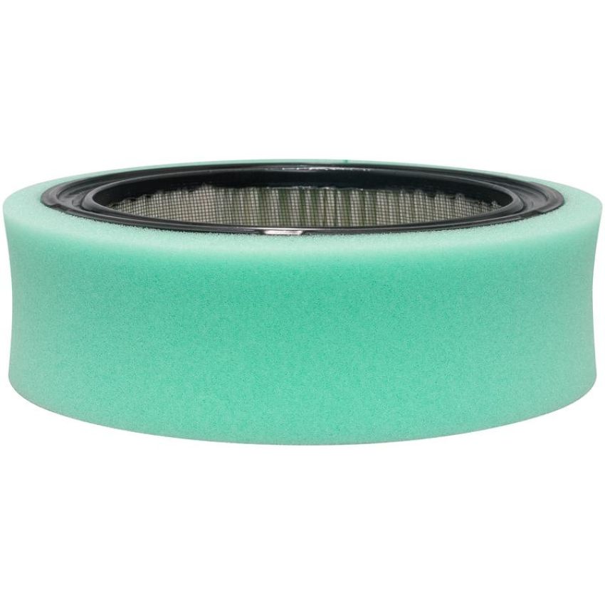 BALDWIN FILTERS PA30189 Air Element with Foam Wrap & Bolt Hole