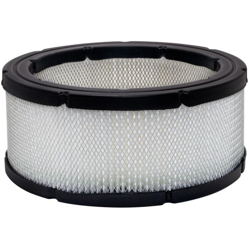 BALDWIN FILTERS PA3901 Air Element