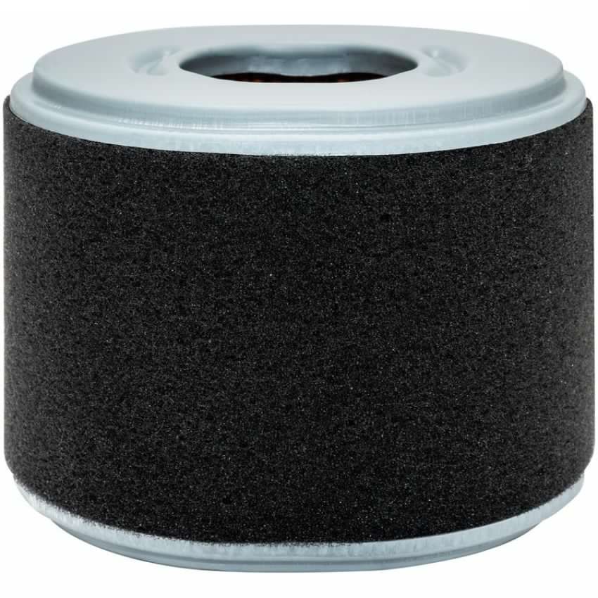 BALDWIN FILTERS PA4552 Oval Air Element with Foam Wrap