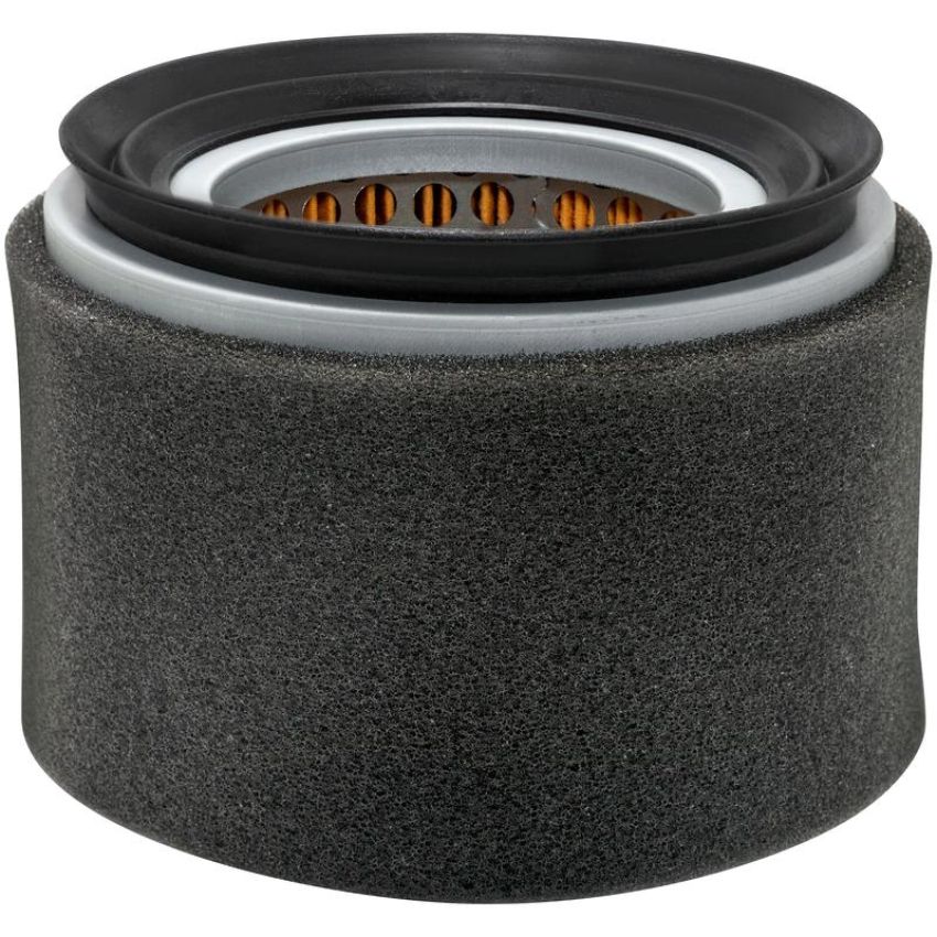 BALDWIN FILTERS PA4733 Air Element with Foam Wrap