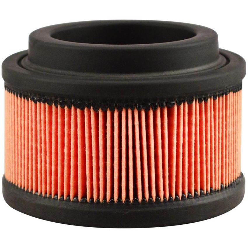 BALDWIN FILTERS PA5311 Air Breather Element