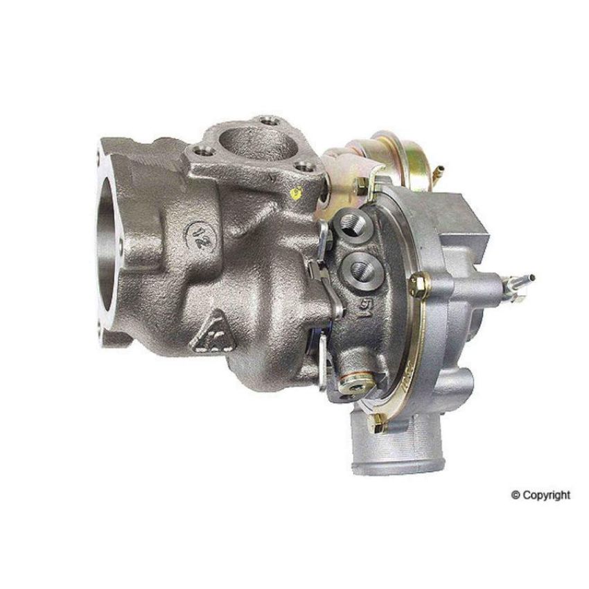 BorgWarner 53049887500 