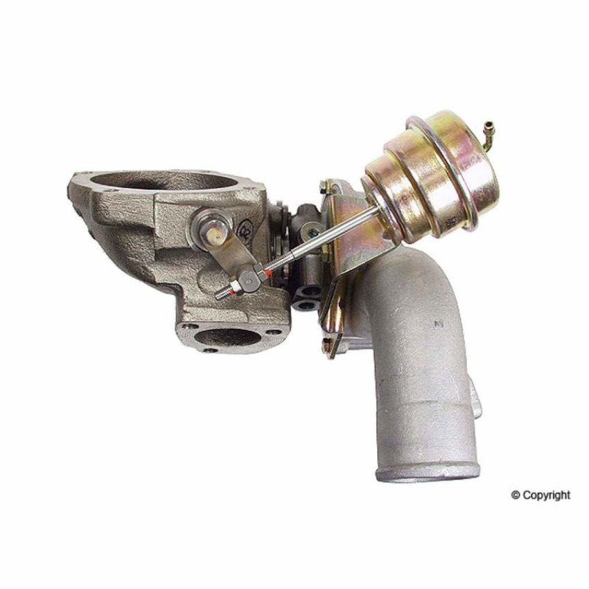 BorgWarner 53049887501 