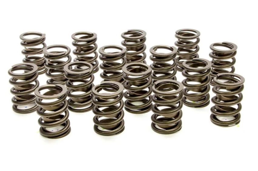PAC RACING SPRINGS PACPAC-1900-16 Valve Springs - HR Series (16)