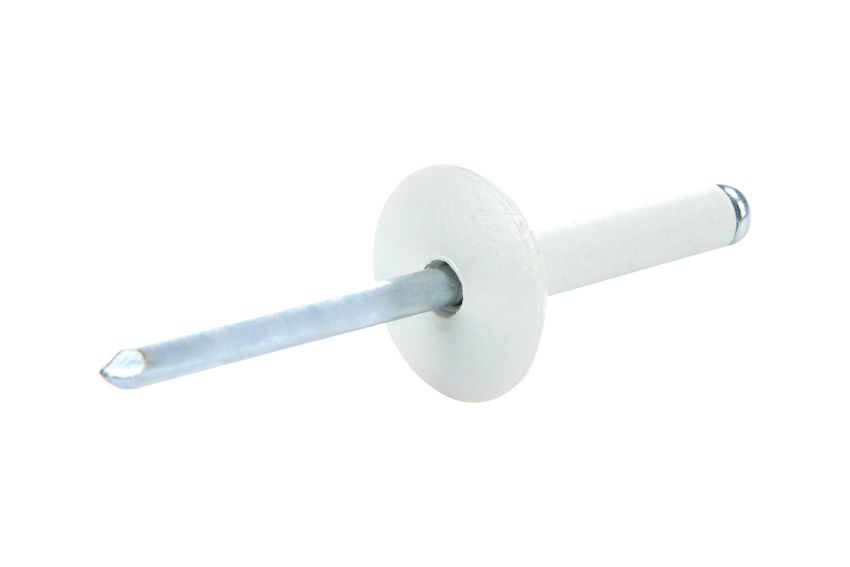 ALLSTAR PERFORMANCE ALL18031 Lg Hd Rivet White 200pk