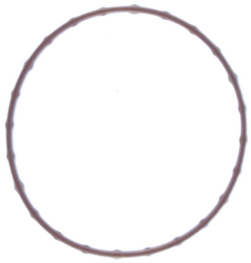 MAHLE C32464 Engine Coolant Thermostat Seal