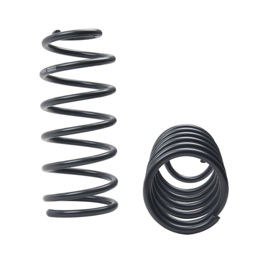 Suspension (68305 ST MUSCLE CAR SPRING)