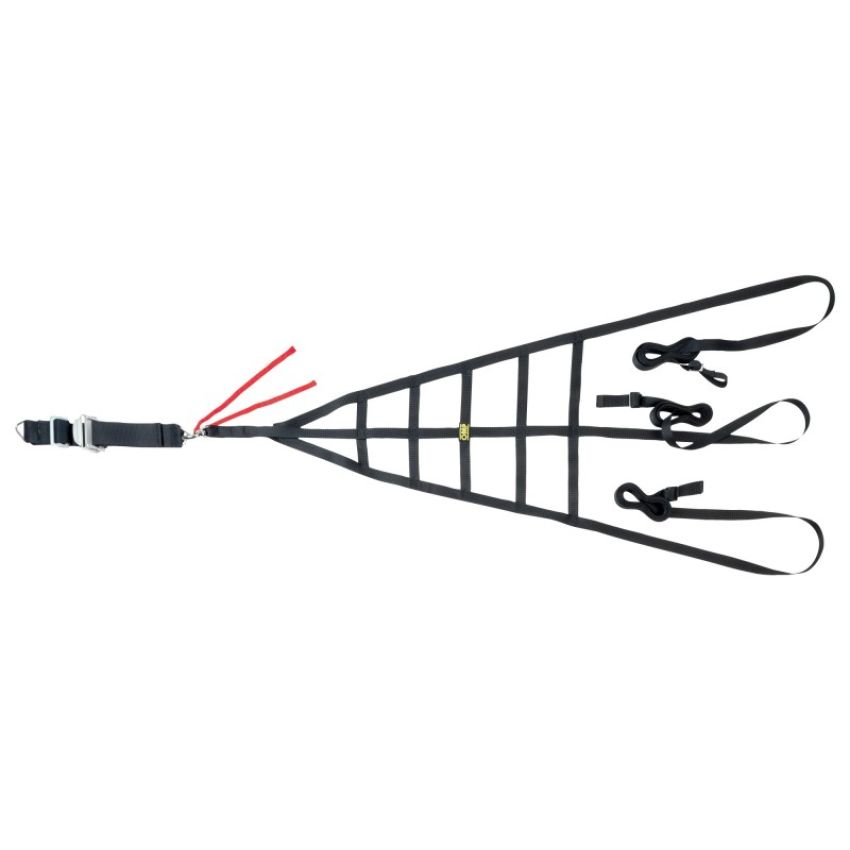 OMP NA0-1875 Racing Net