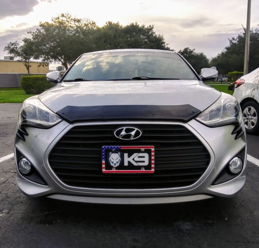 EGR 308271 12+ Hyundai Veloster Superguard Hood Shield (308271)