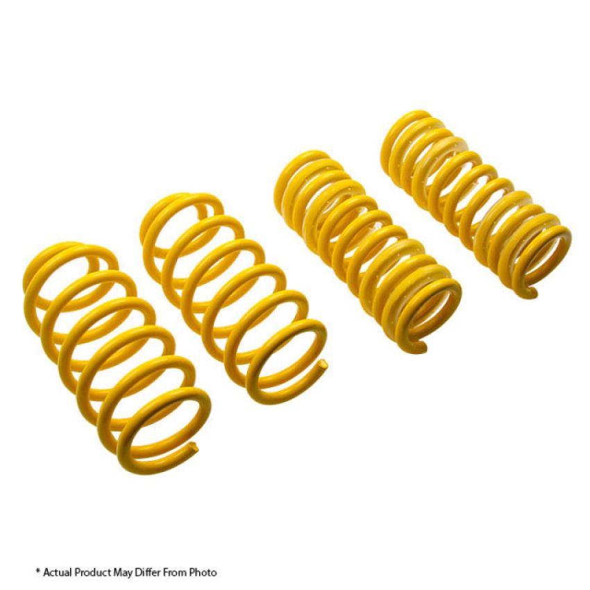 Suspension (65428 ST LOWERING SPRINGS)