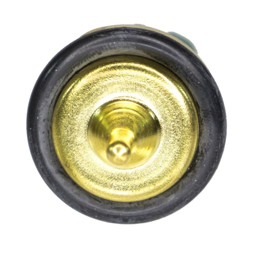 CRP PRODUCTS ELC0080 Rein OE Temperature Sensor