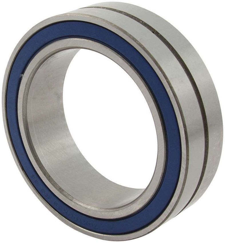 ALLSTAR PERFORMANCE ALL72336 Sprint Birdcage Bearing 28mm