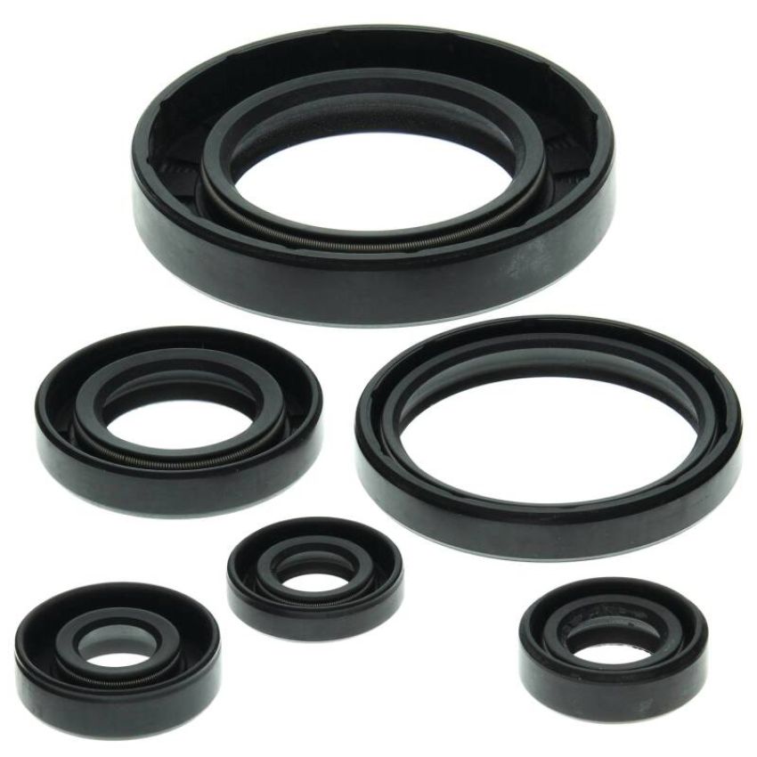 Vertex Pistons 822204 Vertex Gaskets 99-05 Can-Am Traxter 500 Oil Seal Kit