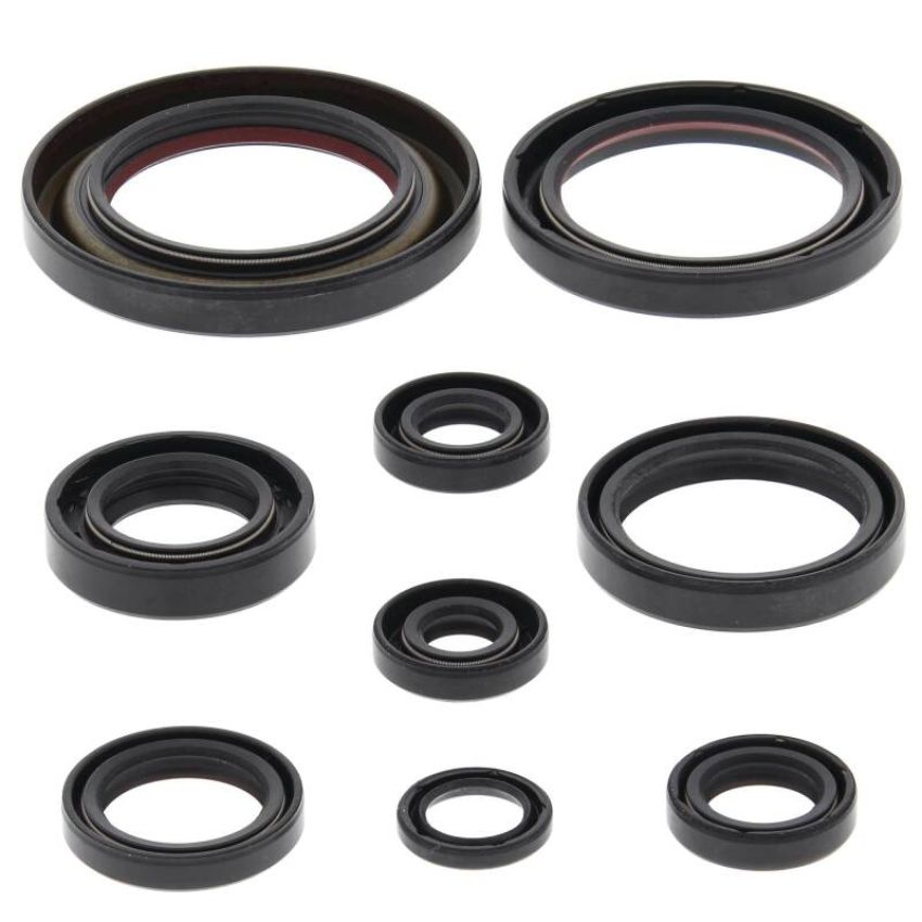 Vertex Pistons 822312 Vertex Gaskets 06-14 Honda TRX450ER Oil Seal Kit