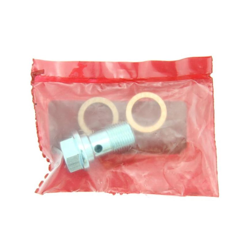 CENTRIC PARTS 141.38028 Centric Semi-Loaded Brake Caliper with New Phenolic Pistons