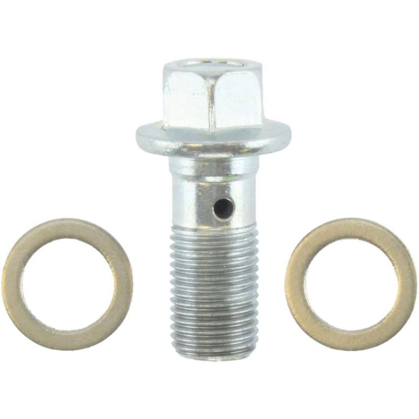CENTRIC PARTS 141.49501 Centric Semi-Loaded Brake Caliper