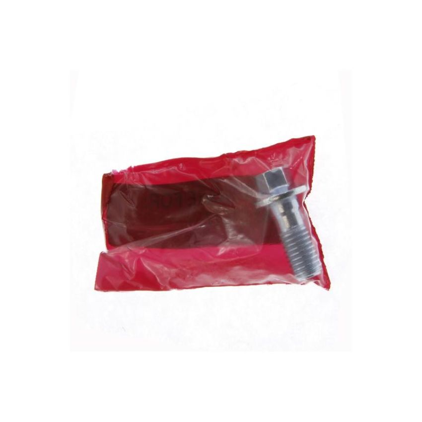 CENTRIC PARTS 141.61517 Centric Semi-Loaded Brake Caliper with New Phenolic Pistons