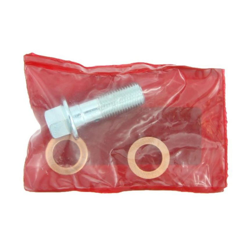 CENTRIC PARTS 141.66513 Centric Semi-Loaded Brake Caliper with New Phenolic Pistons