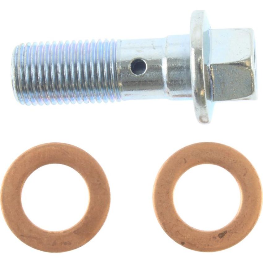 CENTRIC PARTS 142.66521 Posi Quiet Loaded Caliper