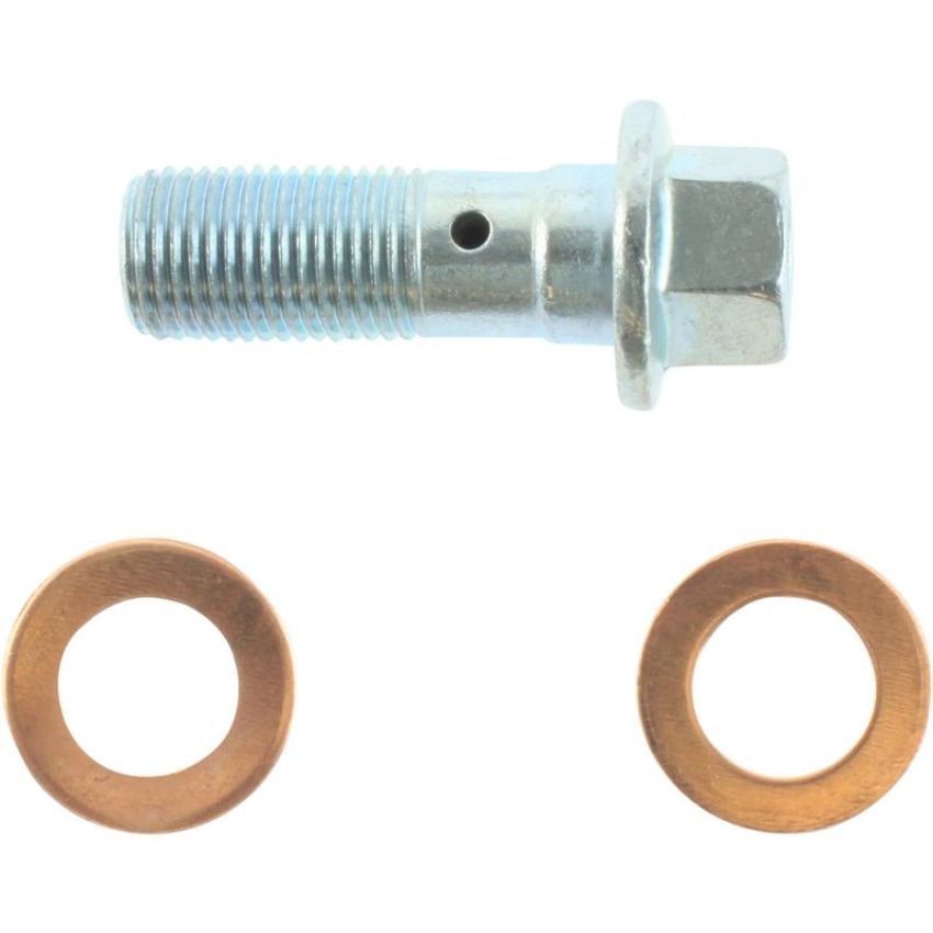 CENTRIC PARTS 142.66529 Posi Quiet Loaded Caliper