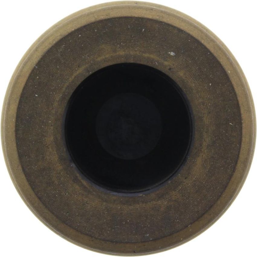 CENTRIC PARTS 145.54001 Centric Phenolic Caliper Piston