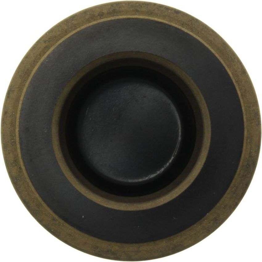 CENTRIC PARTS 145.54005 Centric Phenolic Caliper Piston
