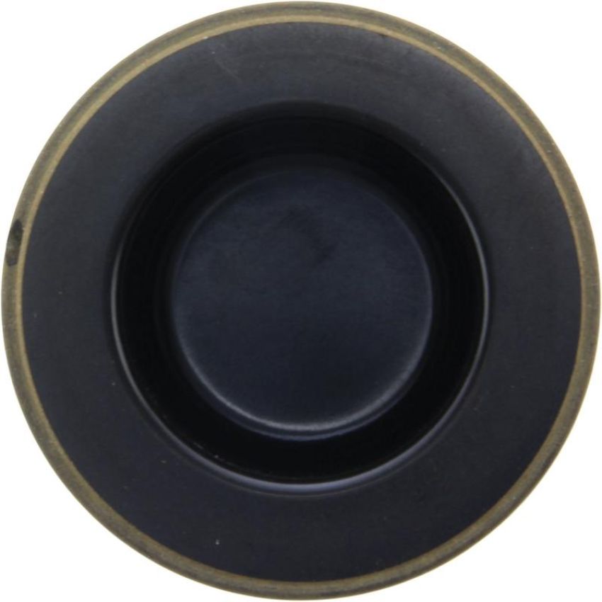 CENTRIC PARTS 145.56001 Centric Phenolic Caliper Piston