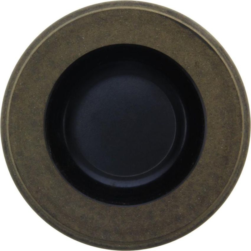 CENTRIC PARTS 145.79001 Centric Phenolic Caliper Piston