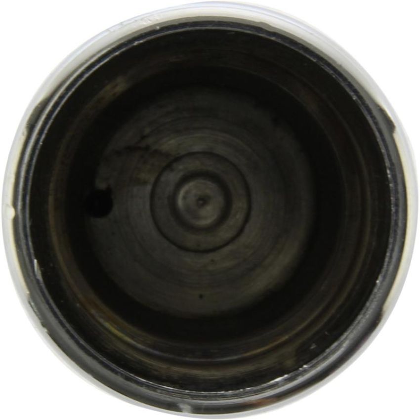 CENTRIC PARTS 146.34002 Centric Caliper Piston