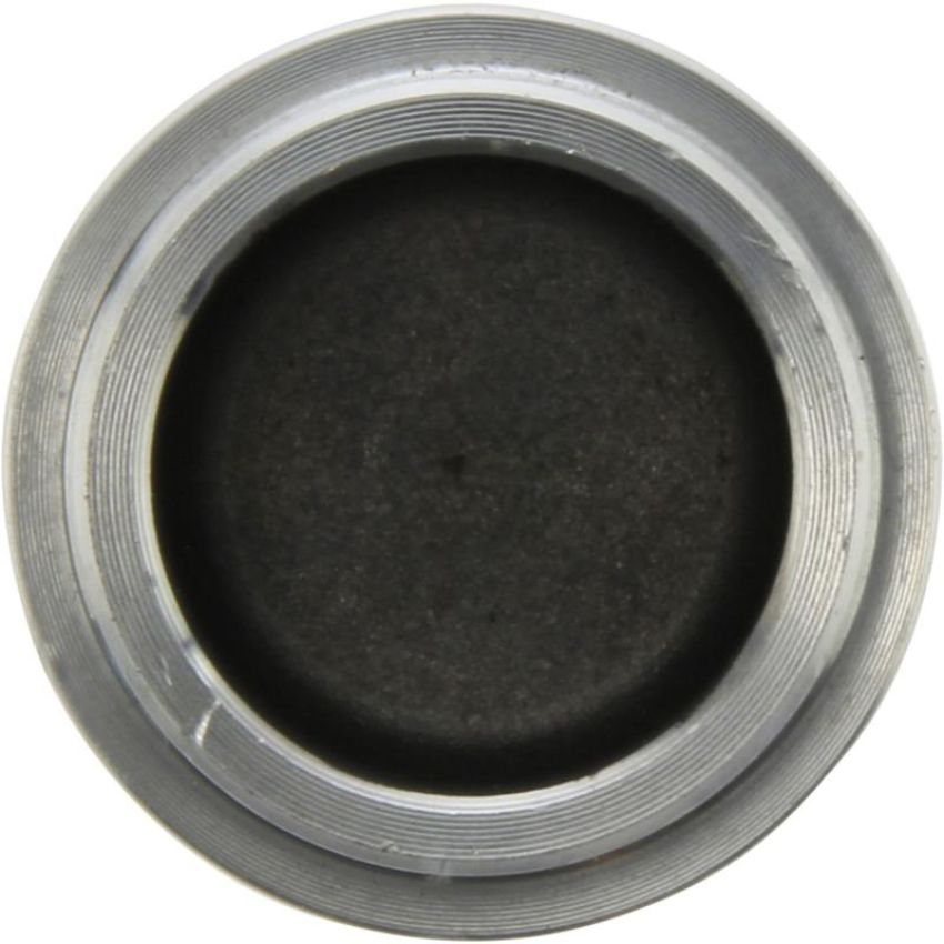 CENTRIC PARTS 146.34003 Centric Caliper Piston