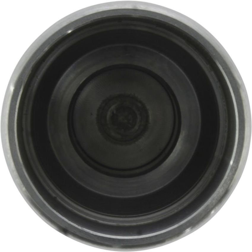 CENTRIC PARTS 146.38019 Centric Caliper Piston