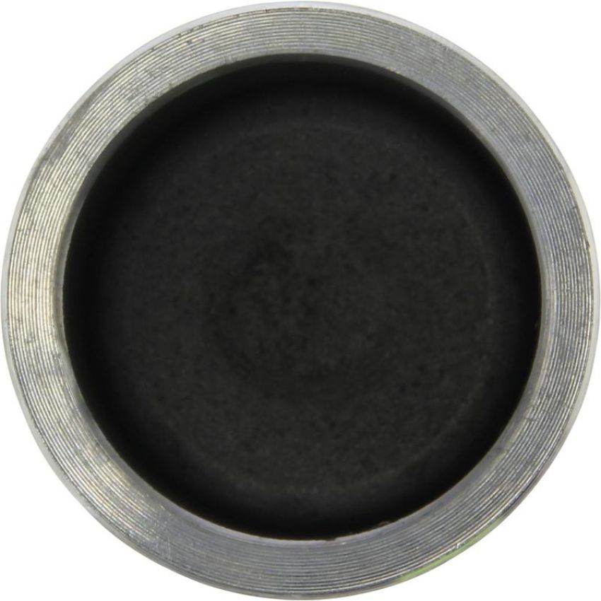 CENTRIC PARTS 146.38021 Centric Caliper Piston