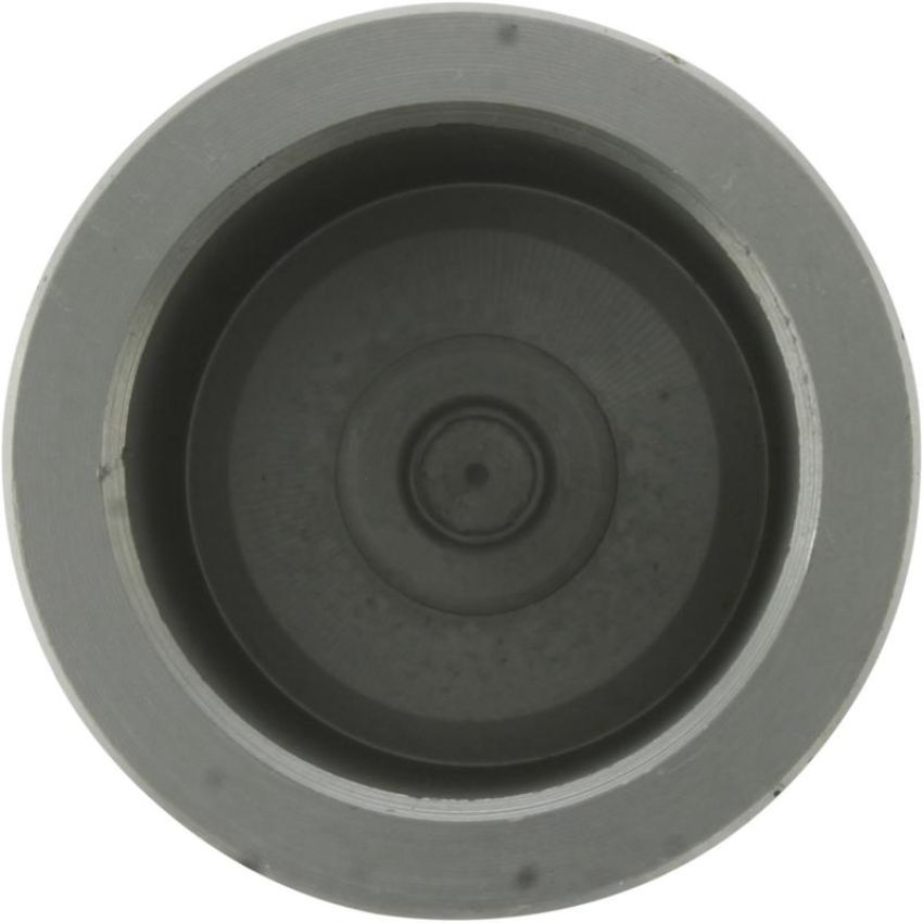 CENTRIC PARTS 146.38026 Centric Caliper Piston