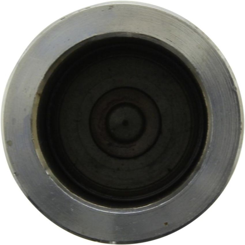 CENTRIC PARTS 146.42029 Centric Caliper Piston