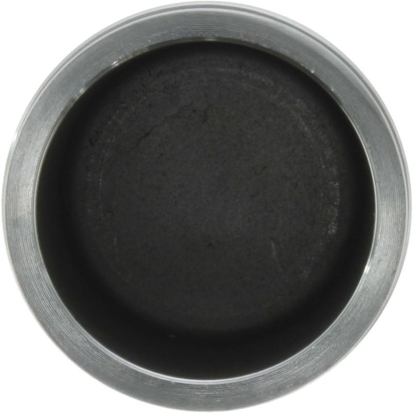 CENTRIC PARTS 146.45018 Centric Caliper Piston