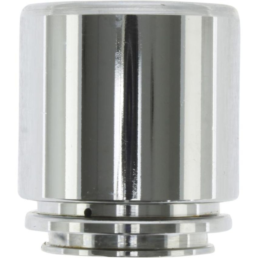 CENTRIC PARTS 146.45024 Centric Caliper Piston