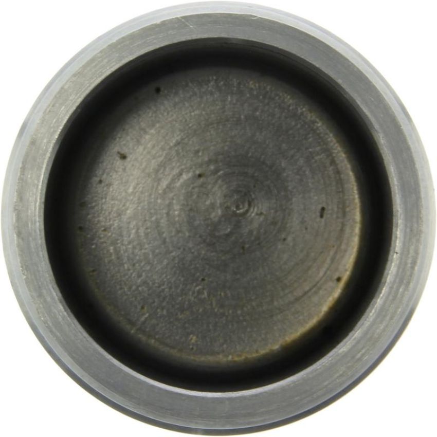 CENTRIC PARTS 146.46002 Centric Caliper Piston
