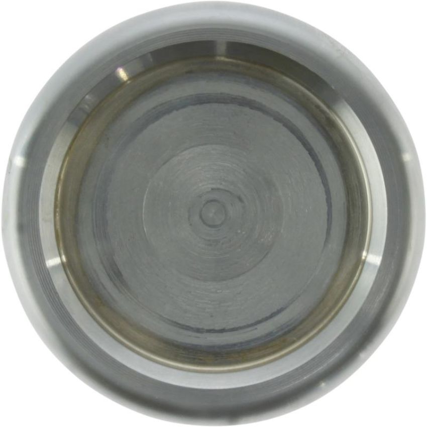 CENTRIC PARTS 146.48022 Centric Caliper Piston