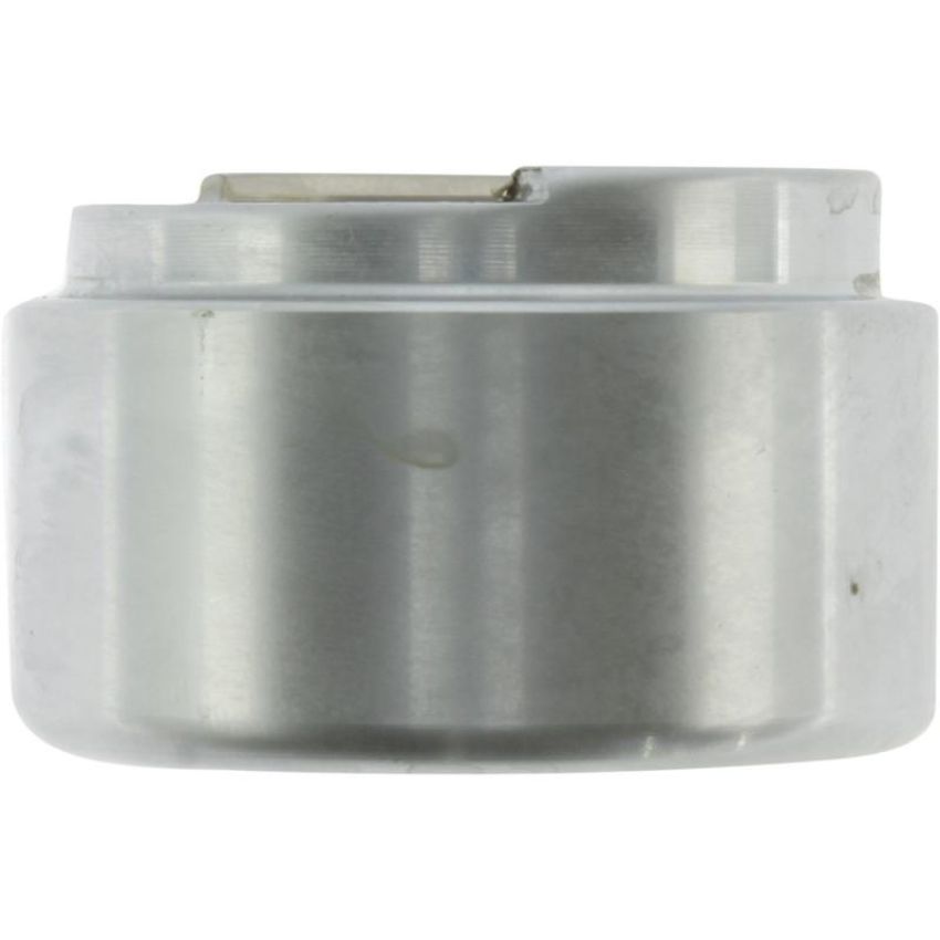 CENTRIC PARTS 146.48022 Centric Caliper Piston
