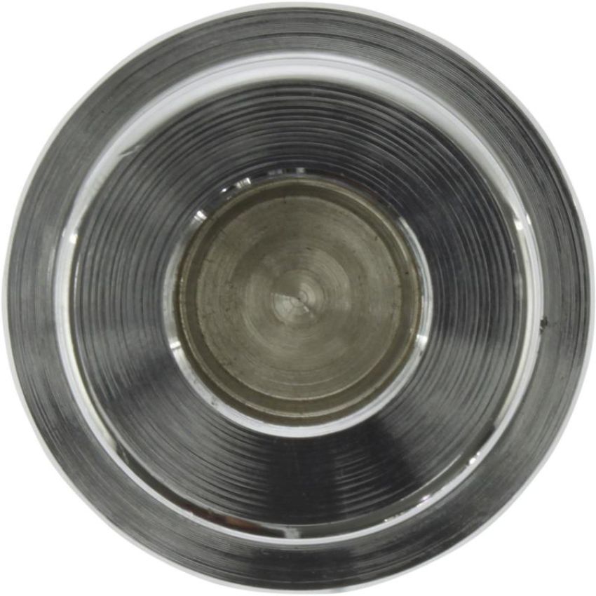 CENTRIC PARTS 146.48029 Centric Caliper Piston