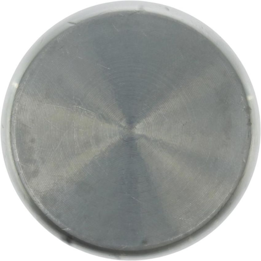 CENTRIC PARTS 146.54055 Centric Caliper Piston