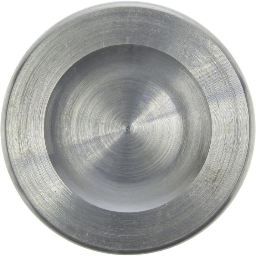 CENTRIC PARTS 146.54065 Centric Caliper Piston