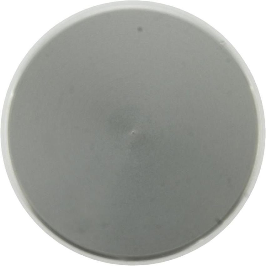 CENTRIC PARTS 146.63009 Centric Caliper Piston