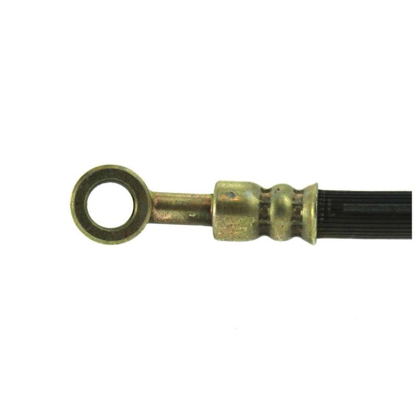 CENTRIC PARTS 150.42053 Centric Brake Hose